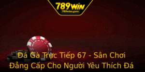 A Ga Truc Tiep 67 San Choi Ang Cap Cho Nguoi Yeu Thich A Ga