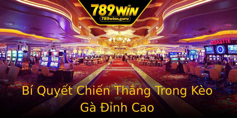 Bí Quyết Chiến Thắng Trong Kèo Gà Đỉnh Cao Bí Quyết Chiến Thắng Trong Kèo Gà Đỉnh Cao