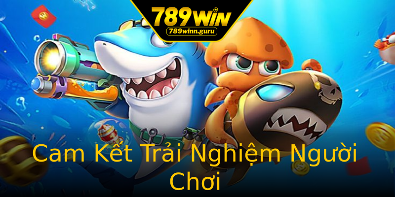Cam Kết Trải Nghiệm Người Chơi Cam Kết Trải Nghiệm Người Chơi