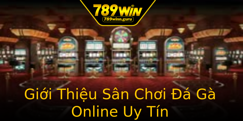 Giới Thiệu Sân Chơi Đá Gà Online Uy Tín Giới Thiệu Sân Chơi Đá Gà Online Uy Tín