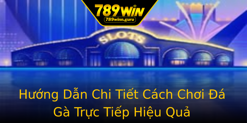 Hướng Dẫn Chi Tiết Cách Chơi Đá Gà Trực Tiếp Hiệu Quả Hướng Dẫn Chi Tiết Cách Chơi Đá Gà Trực Tiếp Hiệu Quả