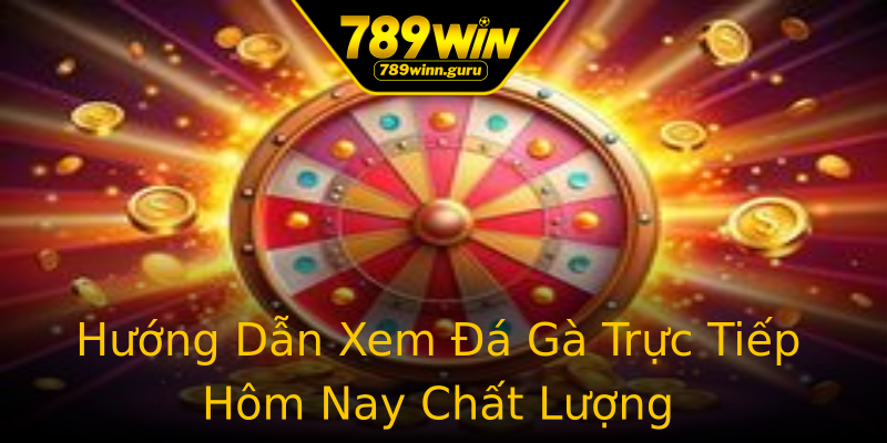 Hướng Dẫn Xem Đá Gà Trực Tiếp Hôm Nay Chất Lượng Hướng Dẫn Xem Đá Gà Trực Tiếp Hôm Nay Chất Lượng