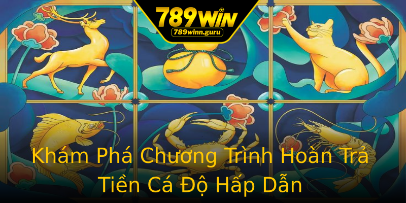 Khám Phá Chương Trình Hoàn Trả Tiền Cá Độ Hấp Dẫn Khám Phá Chương Trình Hoàn Trả Tiền Cá Độ Hấp Dẫn