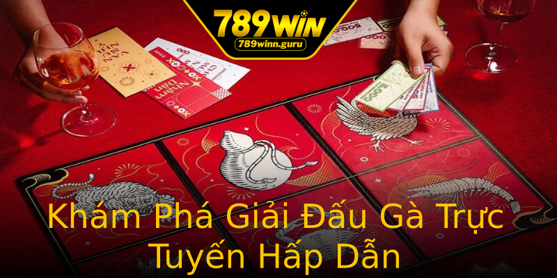 Khám Phá Giải Đấu Gà Trực Tuyến Hấp Dẫn Khám Phá Giải Đấu Gà Trực Tuyến Hấp Dẫn