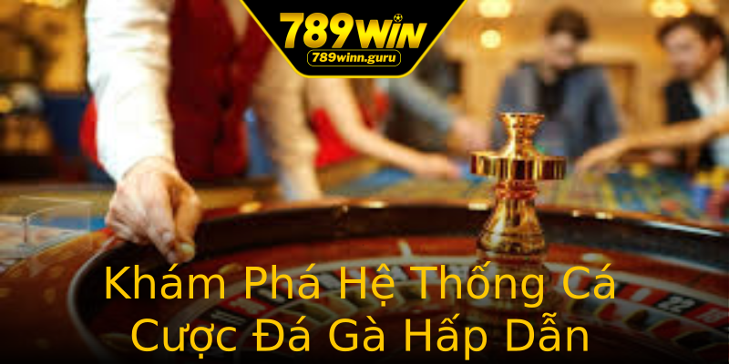 Khám Phá Hệ Thống Cá Cược Đá Gà Hấp Dẫn Khám Phá Hệ Thống Cá Cược Đá Gà Hấp Dẫn