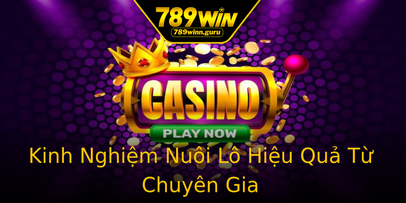 Kinh Nghiệm Nuôi Lô Hiệu Quả Từ Chuyên Gia Kinh Nghiệm Nuôi Lô Hiệu Quả Từ Chuyên Gia