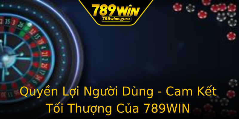 Quyền Lợi Người Dùng - Cam Kết Tối Thượng Của 789WIN Quyền Lợi Người Dùng - Cam Kết Tối Thượng Của 789WIN