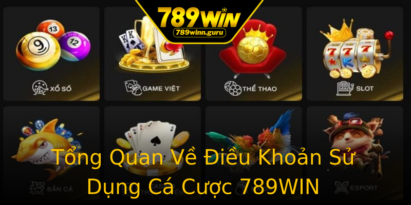 Tổng Quan Về Điều Khoản Sử Dụng Cá Cược 789WIN Tổng Quan Về Điều Khoản Sử Dụng Cá Cược 789WIN