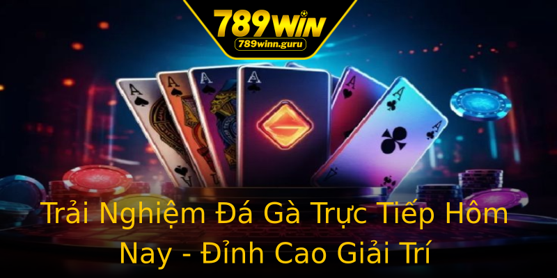 Trải Nghiệm Đá Gà Trực Tiếp Hôm Nay - Đỉnh Cao Giải Trí Trải Nghiệm Đá Gà Trực Tiếp Hôm Nay - Đỉnh Cao Giải Trí