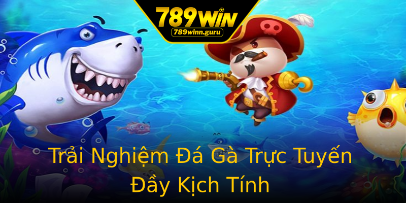 Trải Nghiệm Đá Gà Trực Tuyến Đầy Kịch Tính Trải Nghiệm Đá Gà Trực Tuyến Đầy Kịch Tính