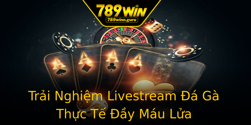 Trải Nghiệm Livestream Đá Gà Thực Tế Đầy Máu Lửa Trải Nghiệm Livestream Đá Gà Thực Tế Đầy Máu Lửa