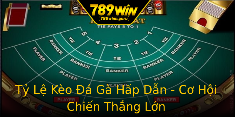 Tỷ Lệ Kèo Đá Gà Hấp Dẫn - Cơ Hội Chiến Thắng Lớn Tỷ Lệ Kèo Đá Gà Hấp Dẫn - Cơ Hội Chiến Thắng Lớn