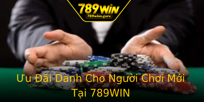 Ưu Đãi Dành Cho Người Chơi Mới Tại 789WIN Ưu Đãi Dành Cho Người Chơi Mới Tại 789WIN